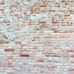 Vochtplekken muur Lebbeke